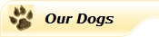 dogs