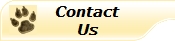 Contactus