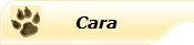 cara